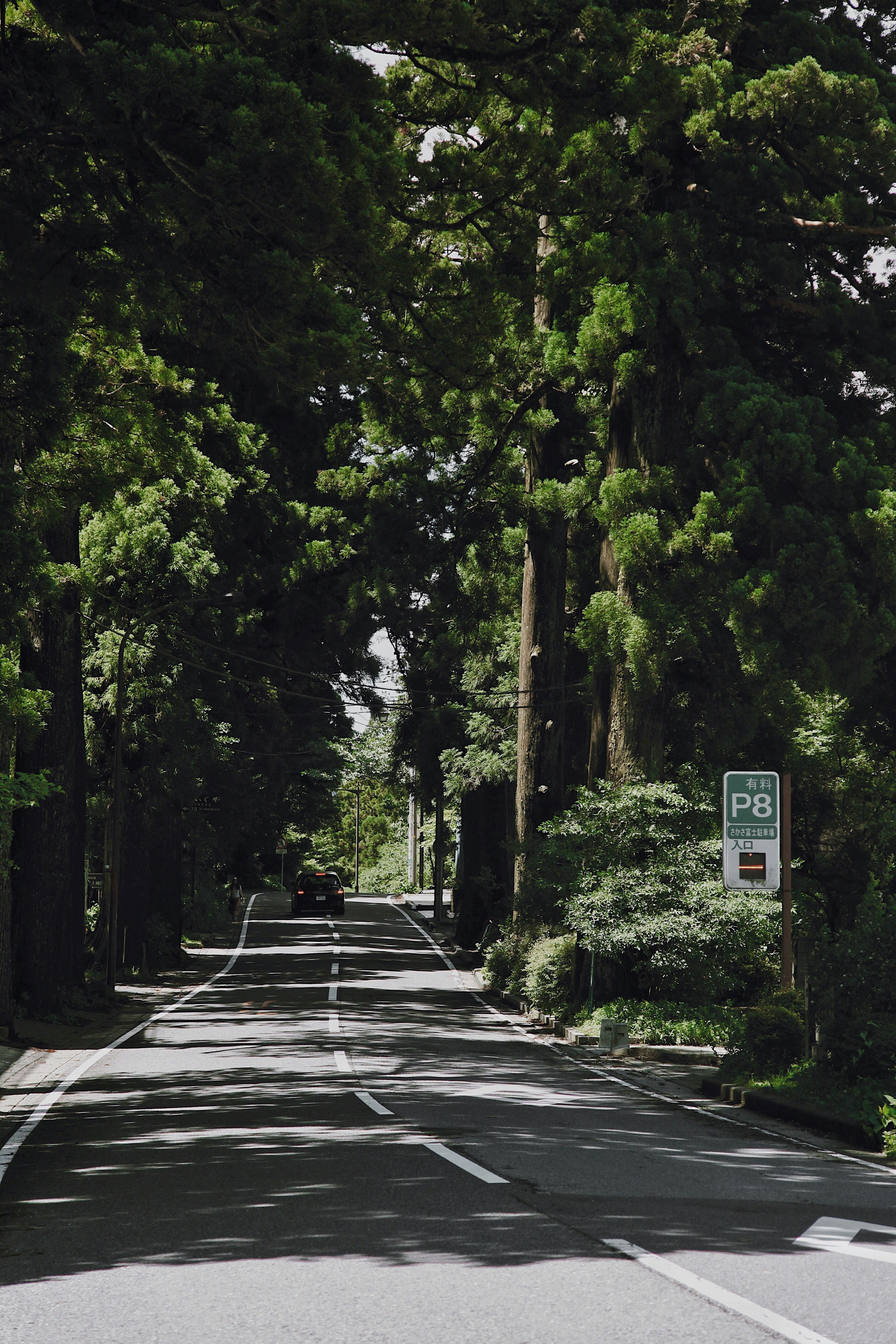 Photo by jasmineyutf