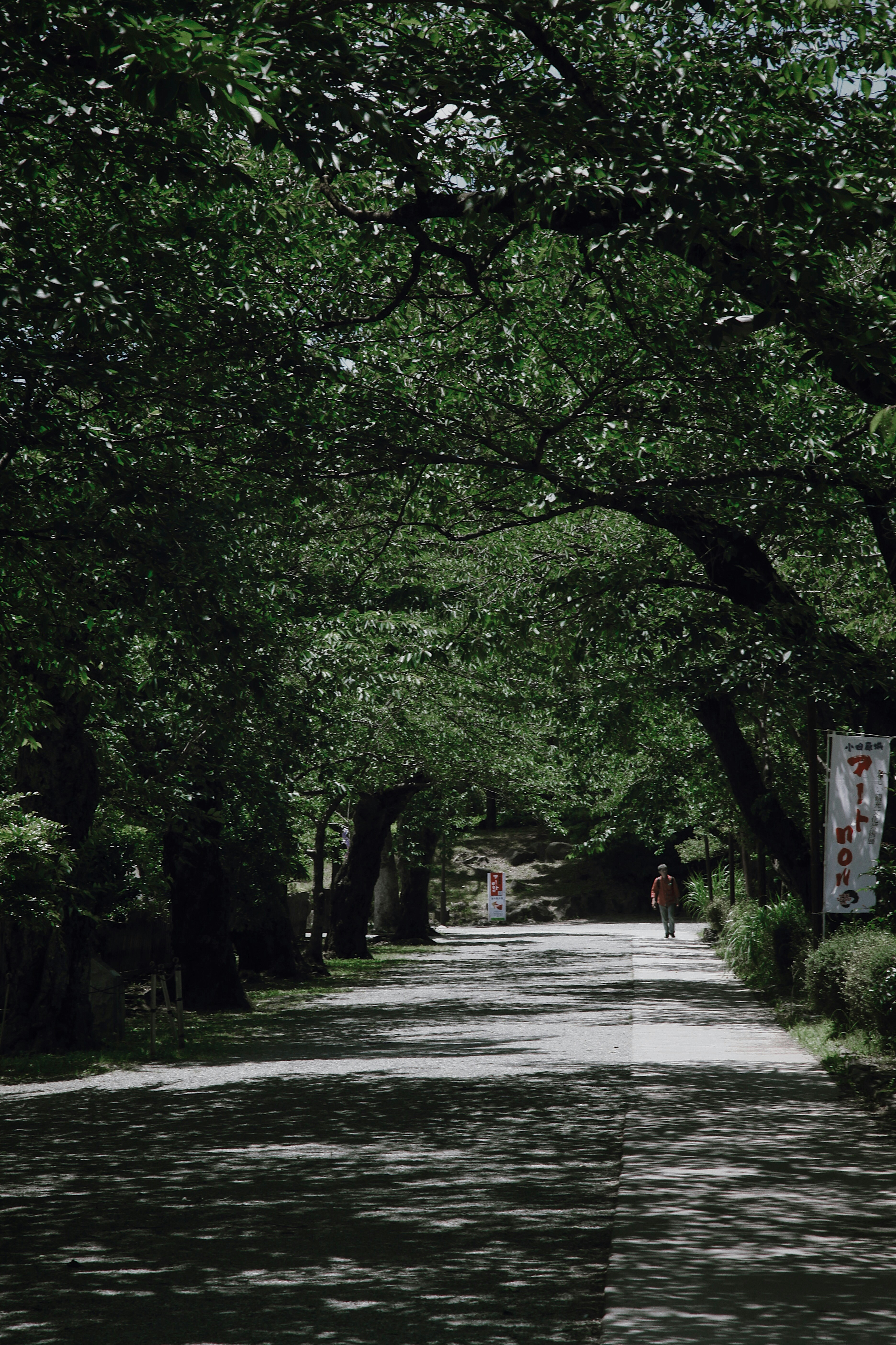 Photo by jasmineyutf