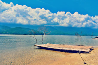 white bamboo boat on shore