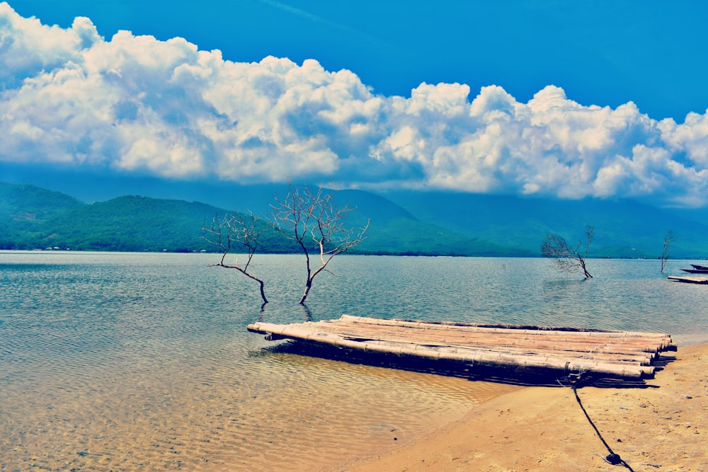 white bamboo boat on shore