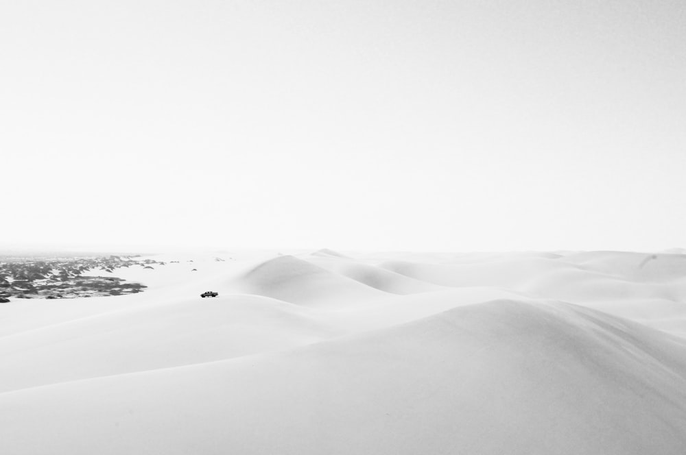 land covered in snow