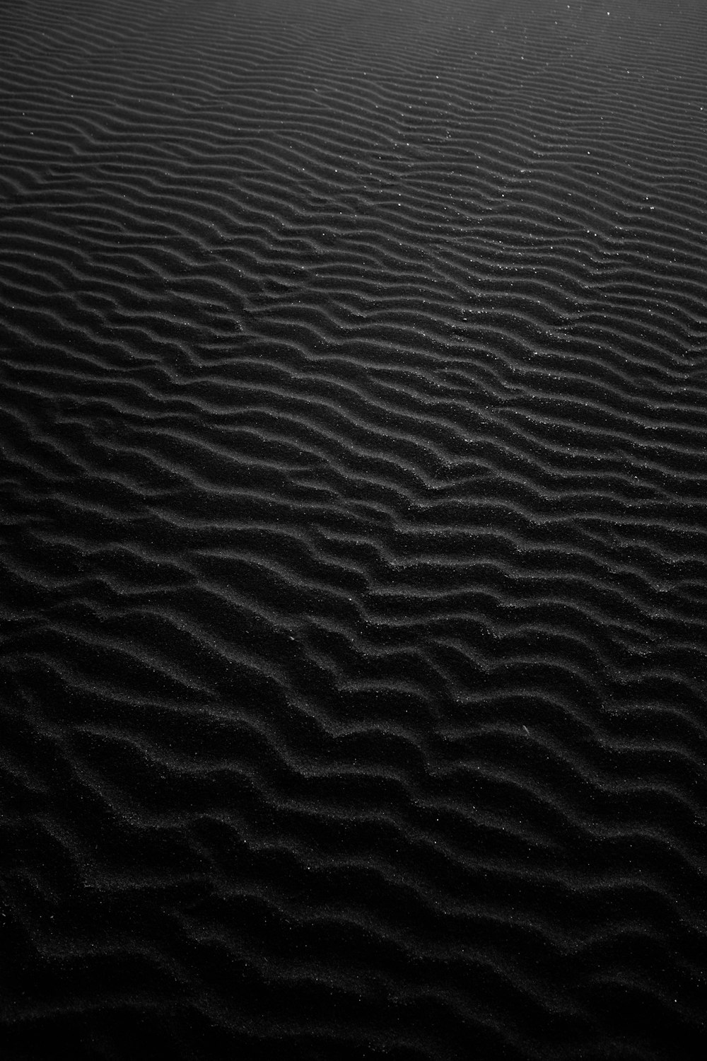 a black and white photo of a sand dune