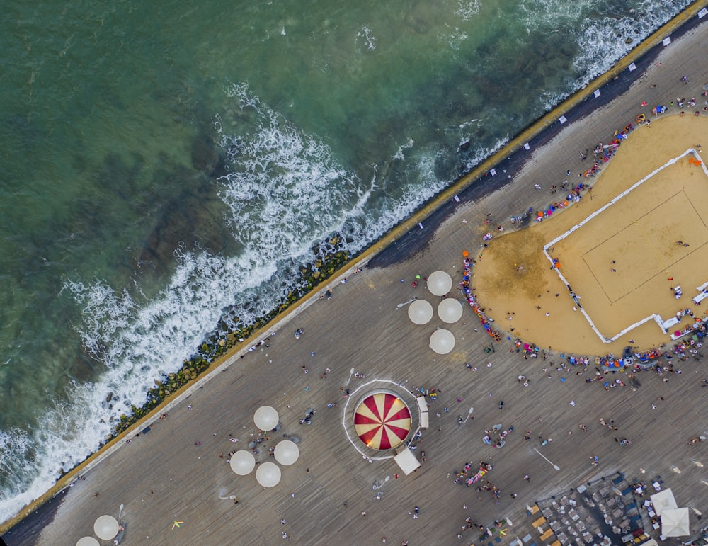 aerial photo of people near shore