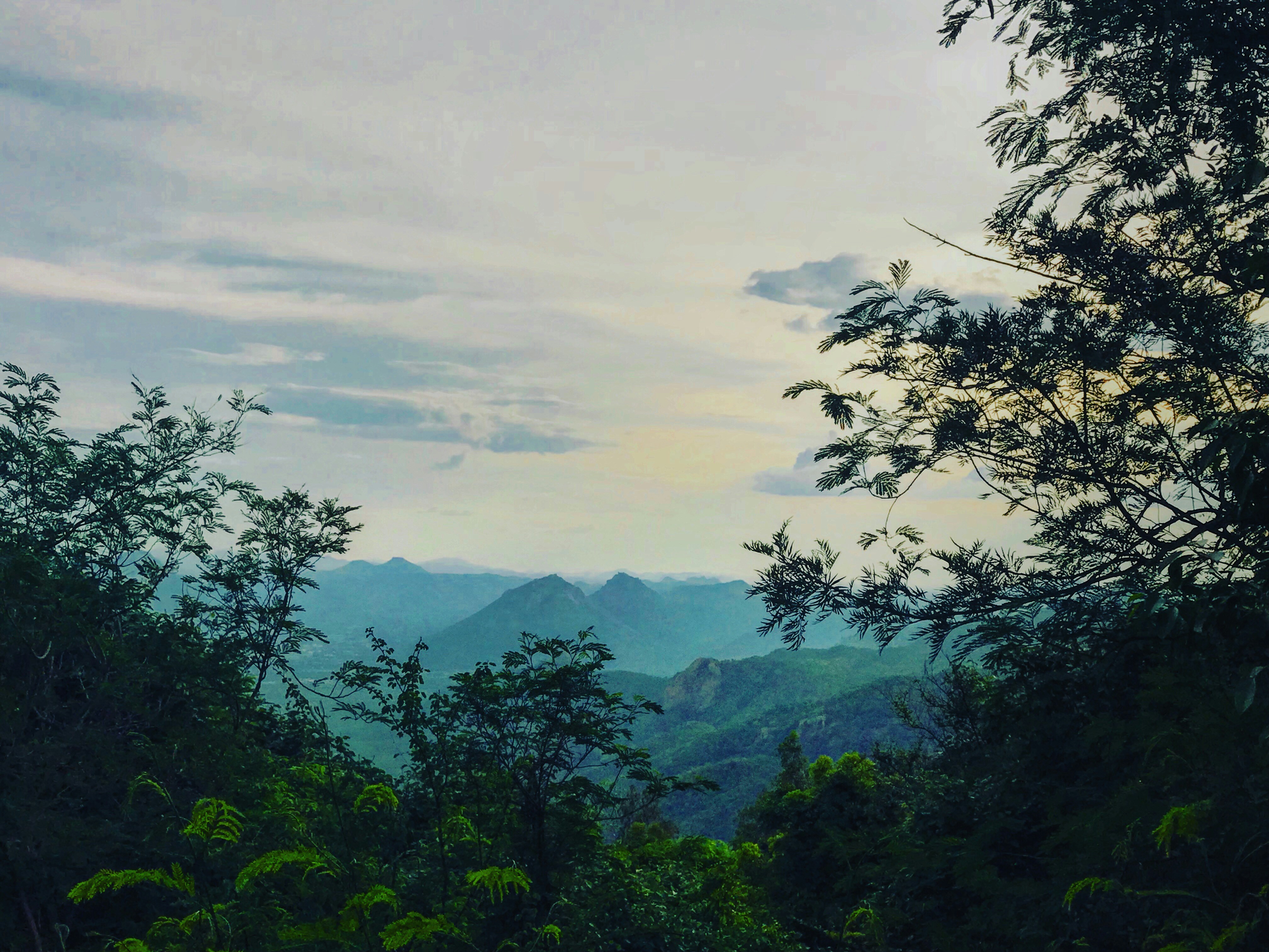 Photo by amargmaestro