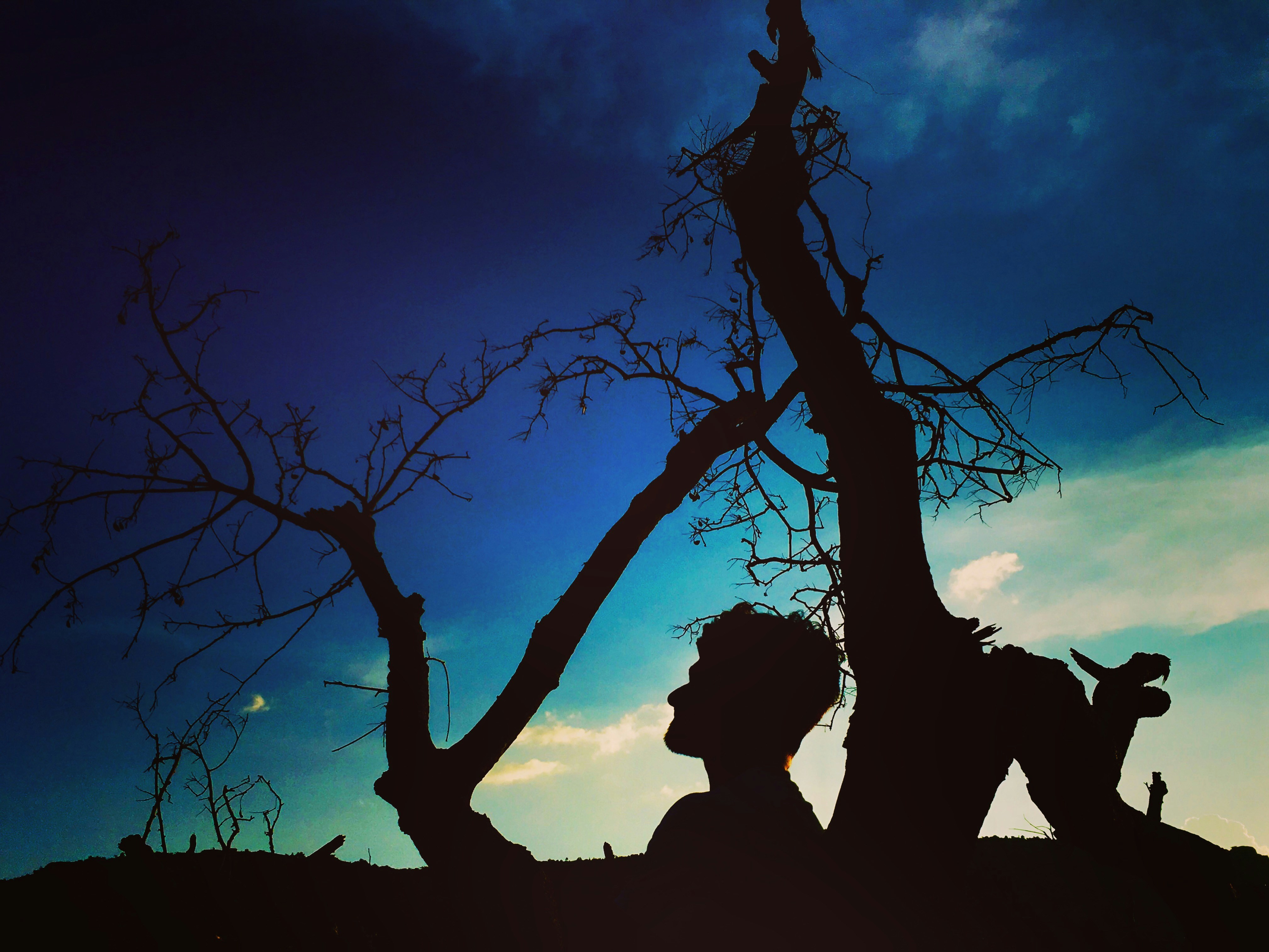 Photo by amargmaestro