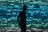 silhouette photography of man