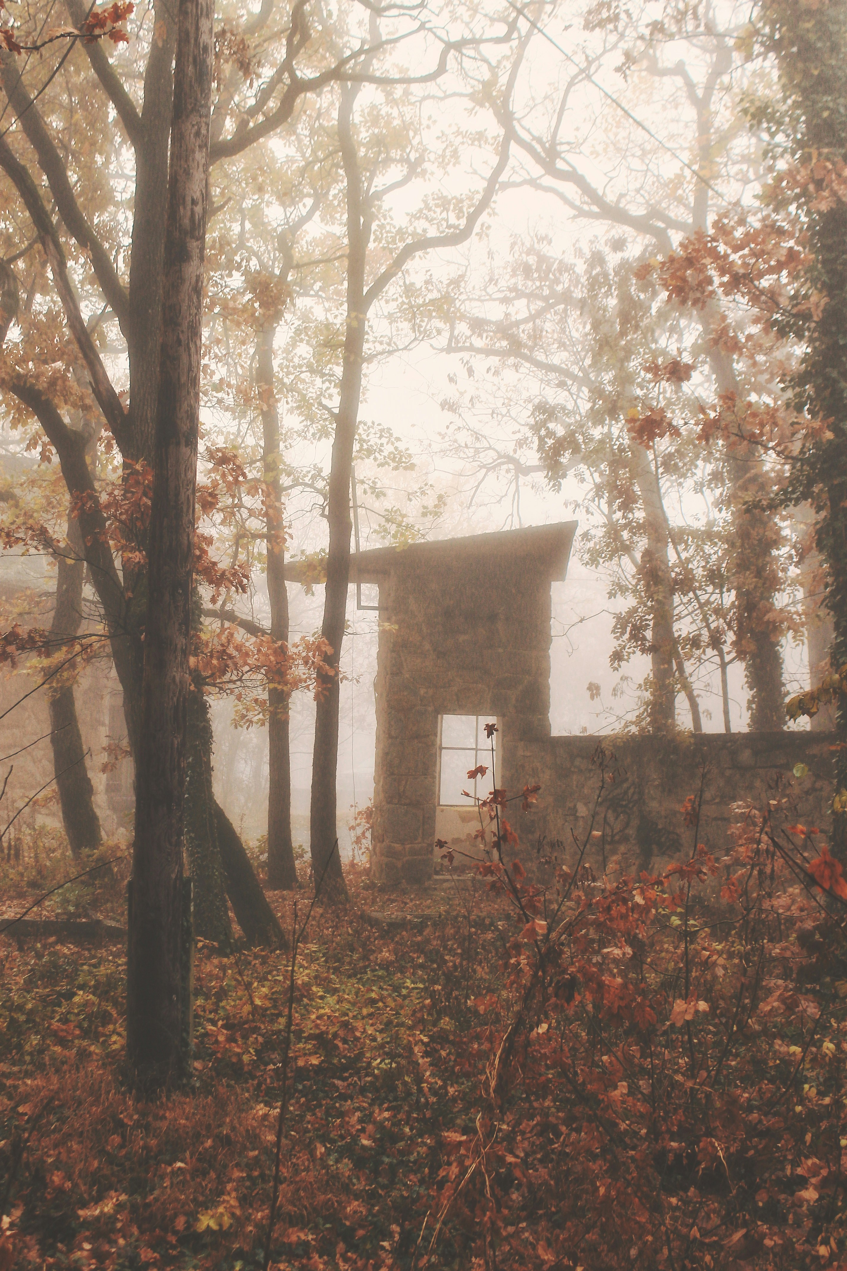 Photo by kkorhetz