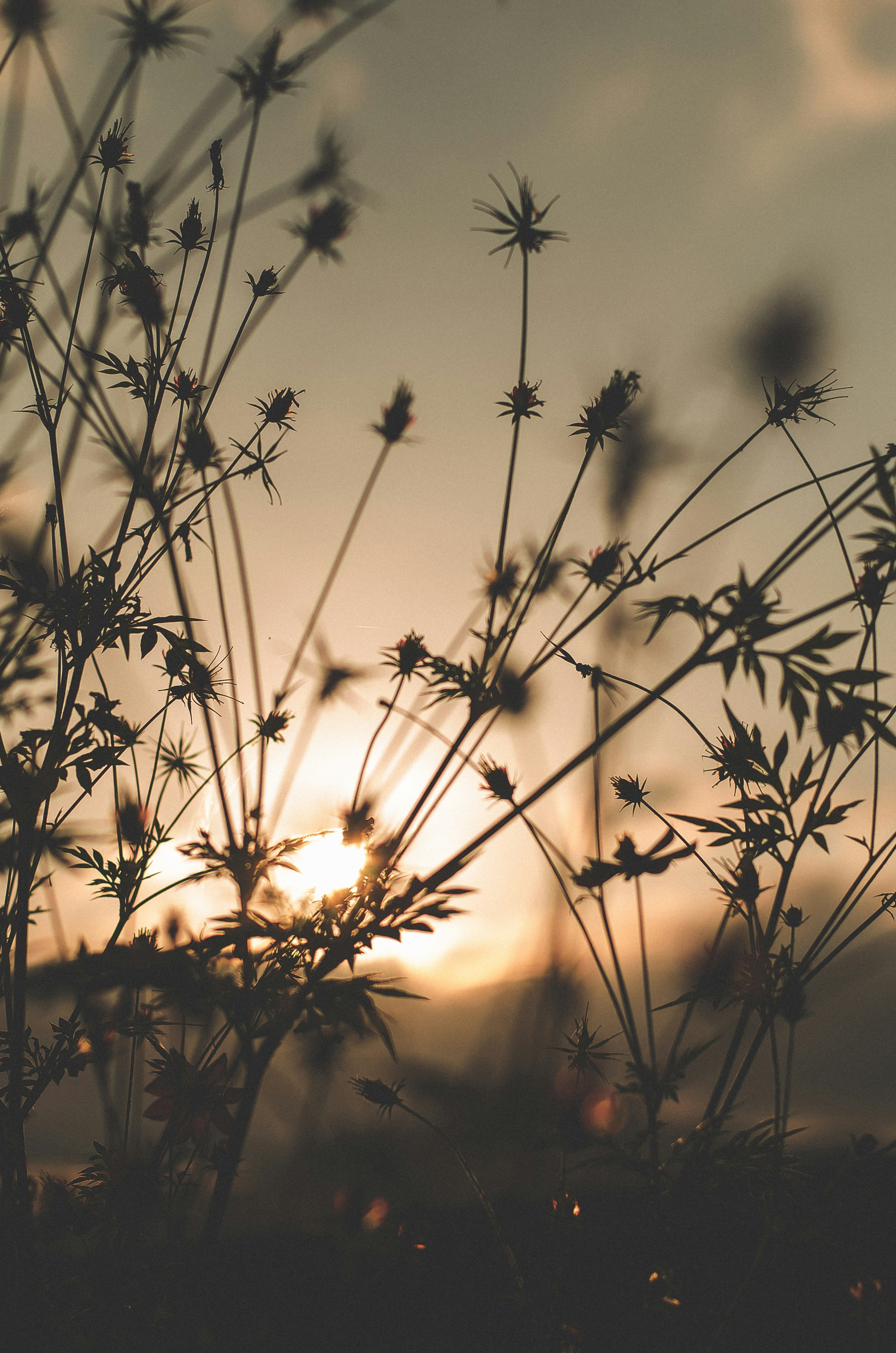 Photo by carlosmurillo1