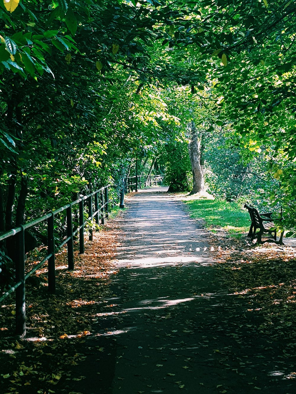 green trees