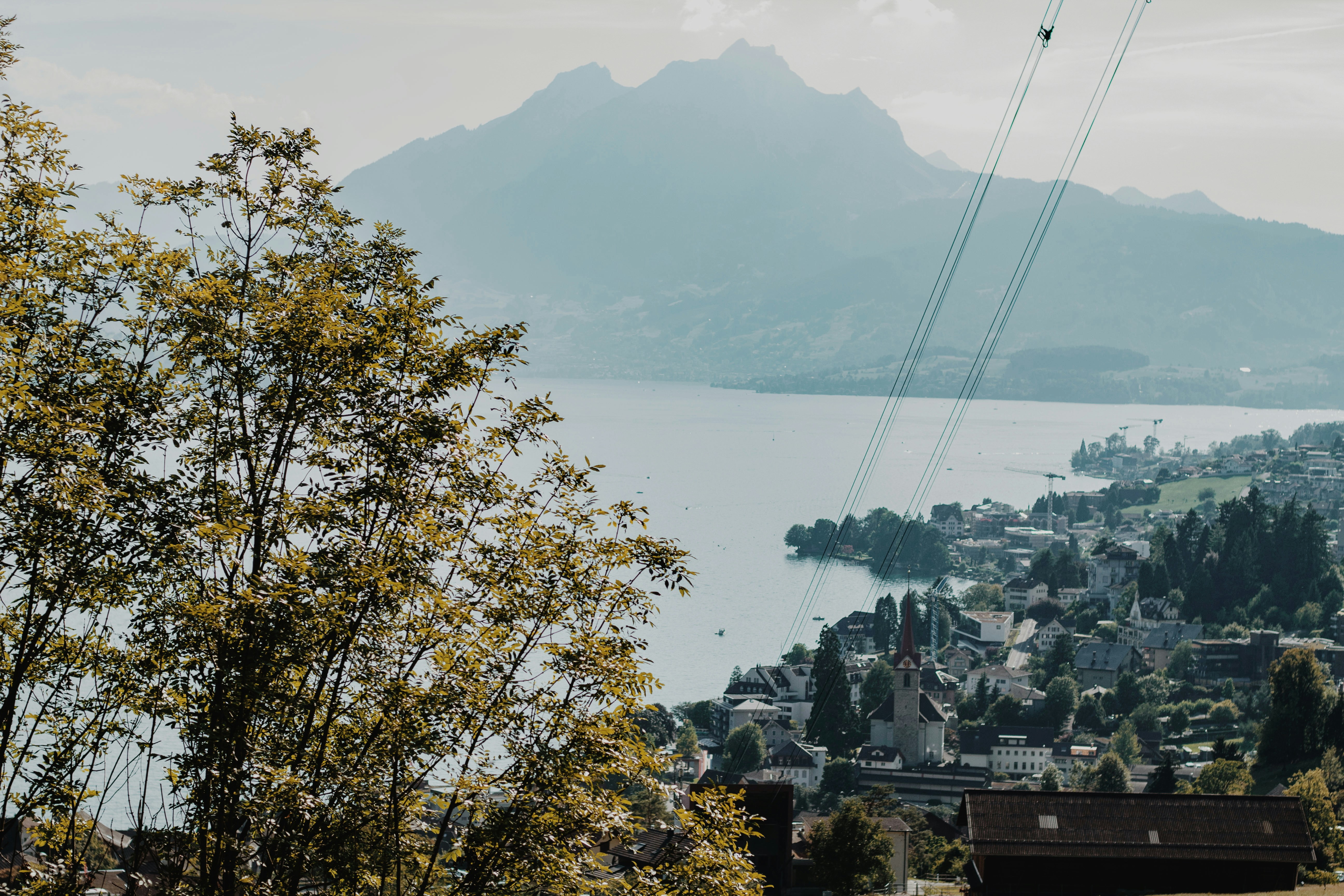 Photo by nina_mercado