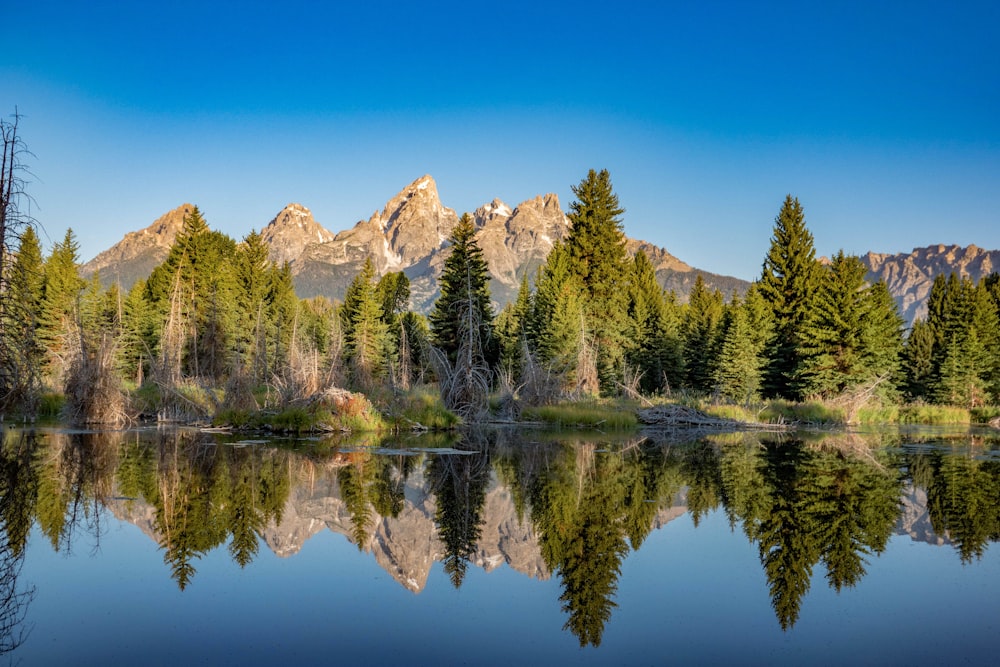 body of water with reflections of trees and mountains