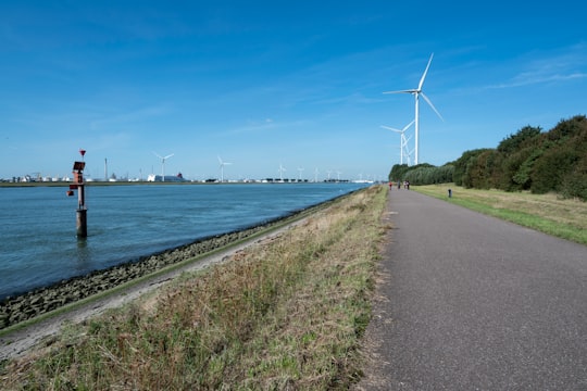 wind turbines near body of water in Hook of Holland Netherlands