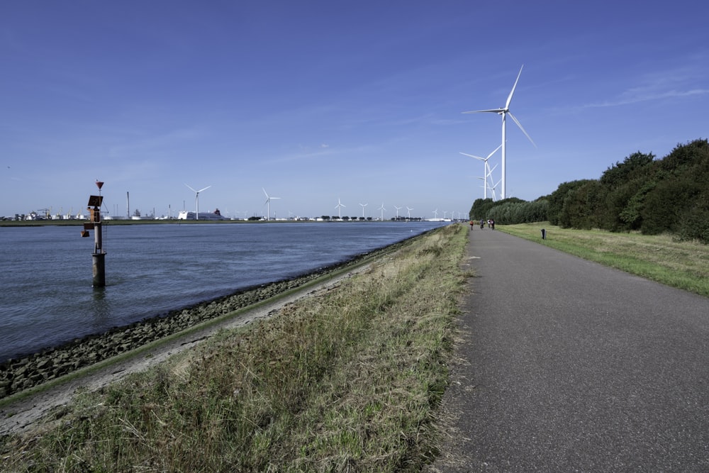 wind turbines near body of water