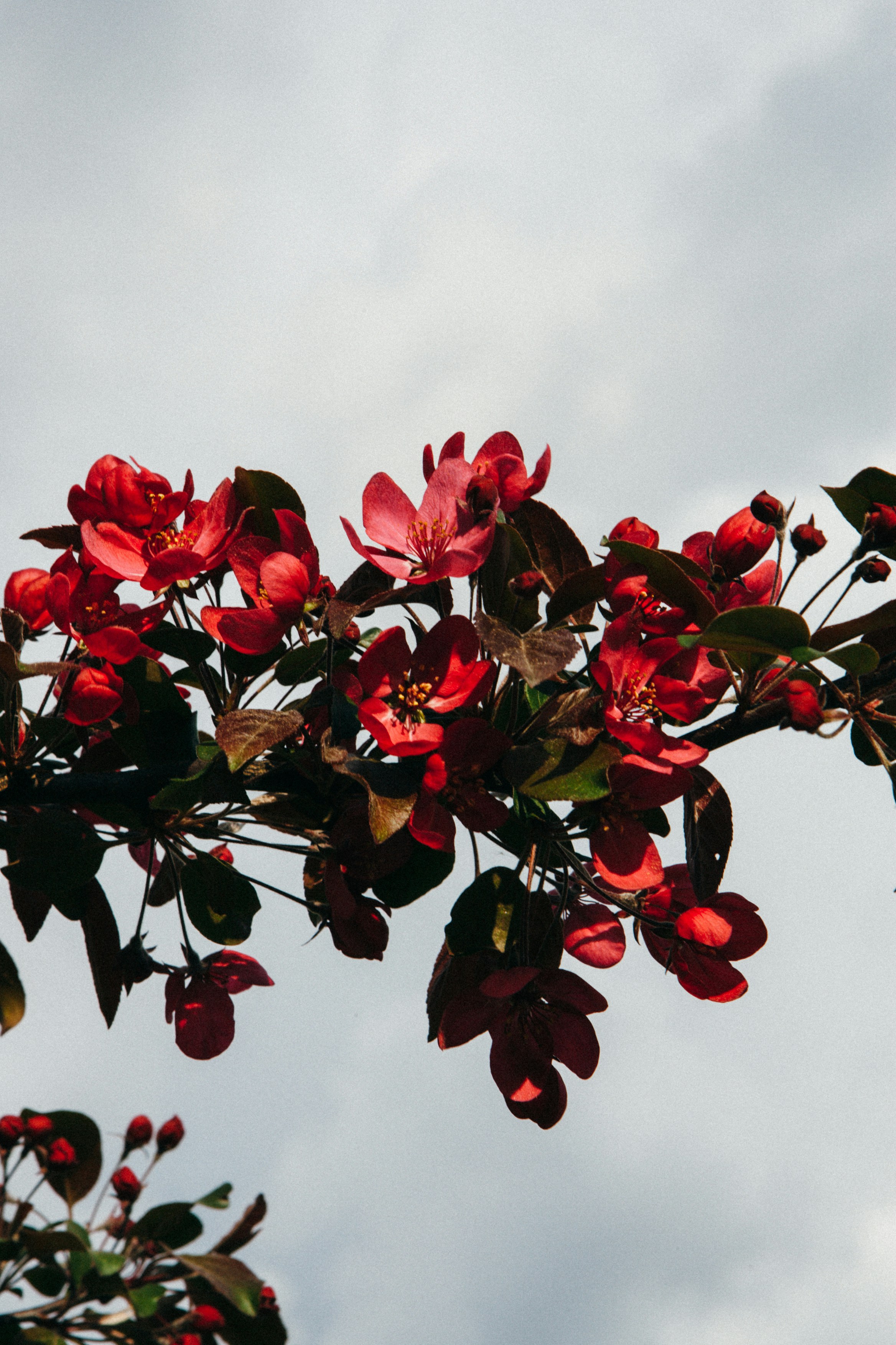 Photo by m0ther_0f_memes