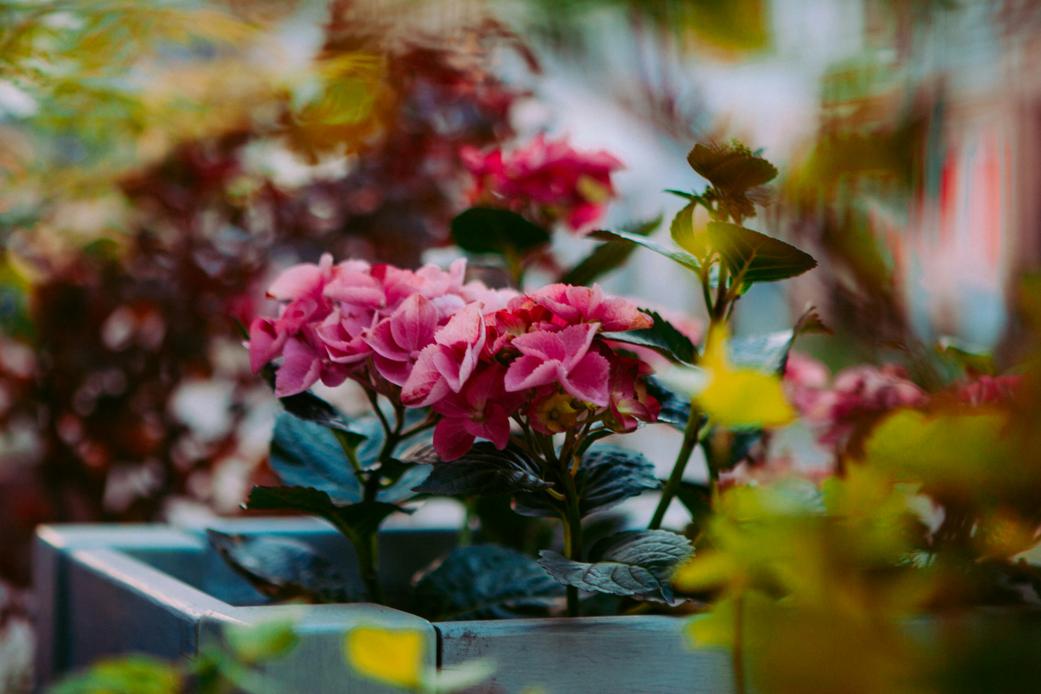 Photo by m0ther_0f_memes