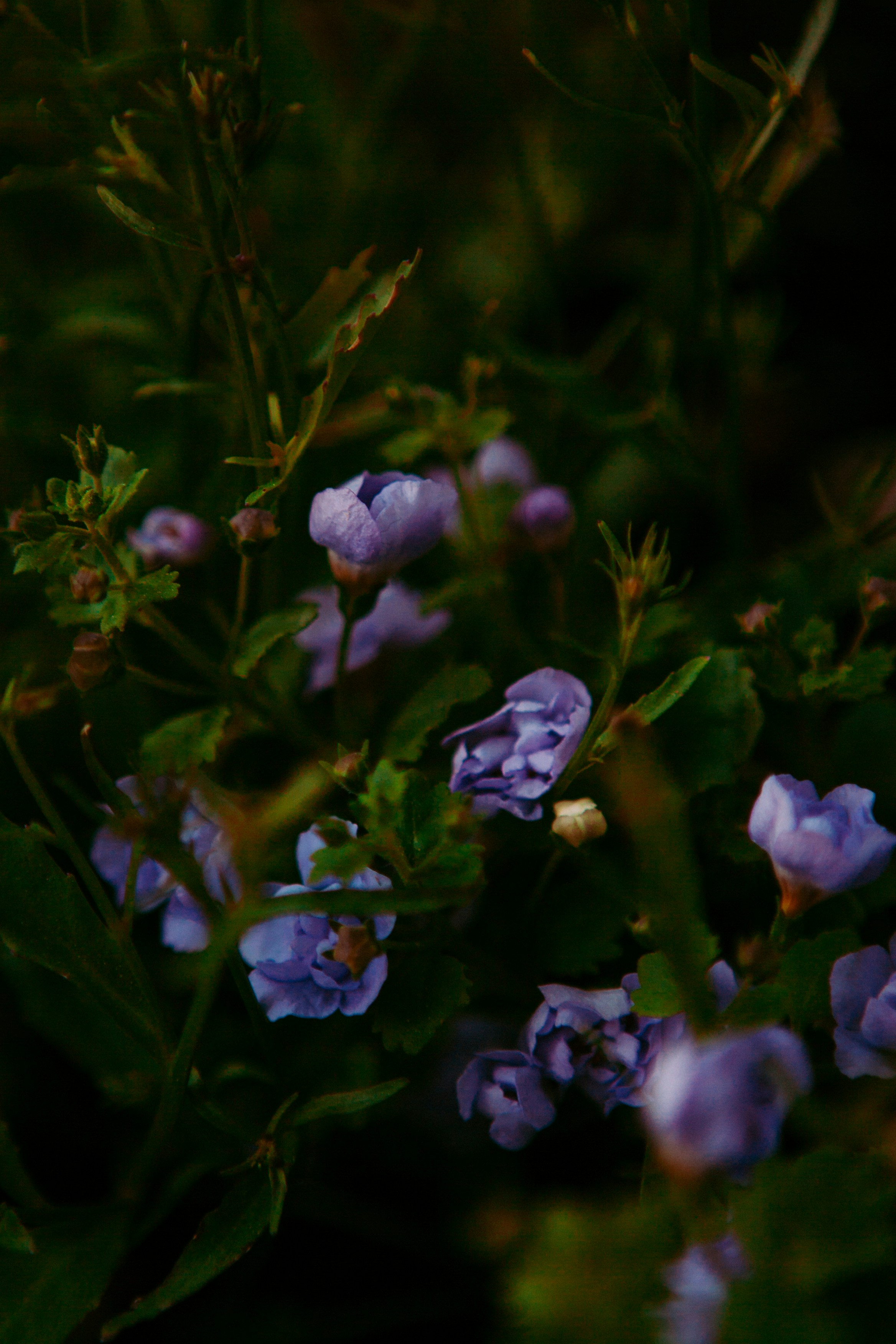 Photo by m0ther_0f_memes