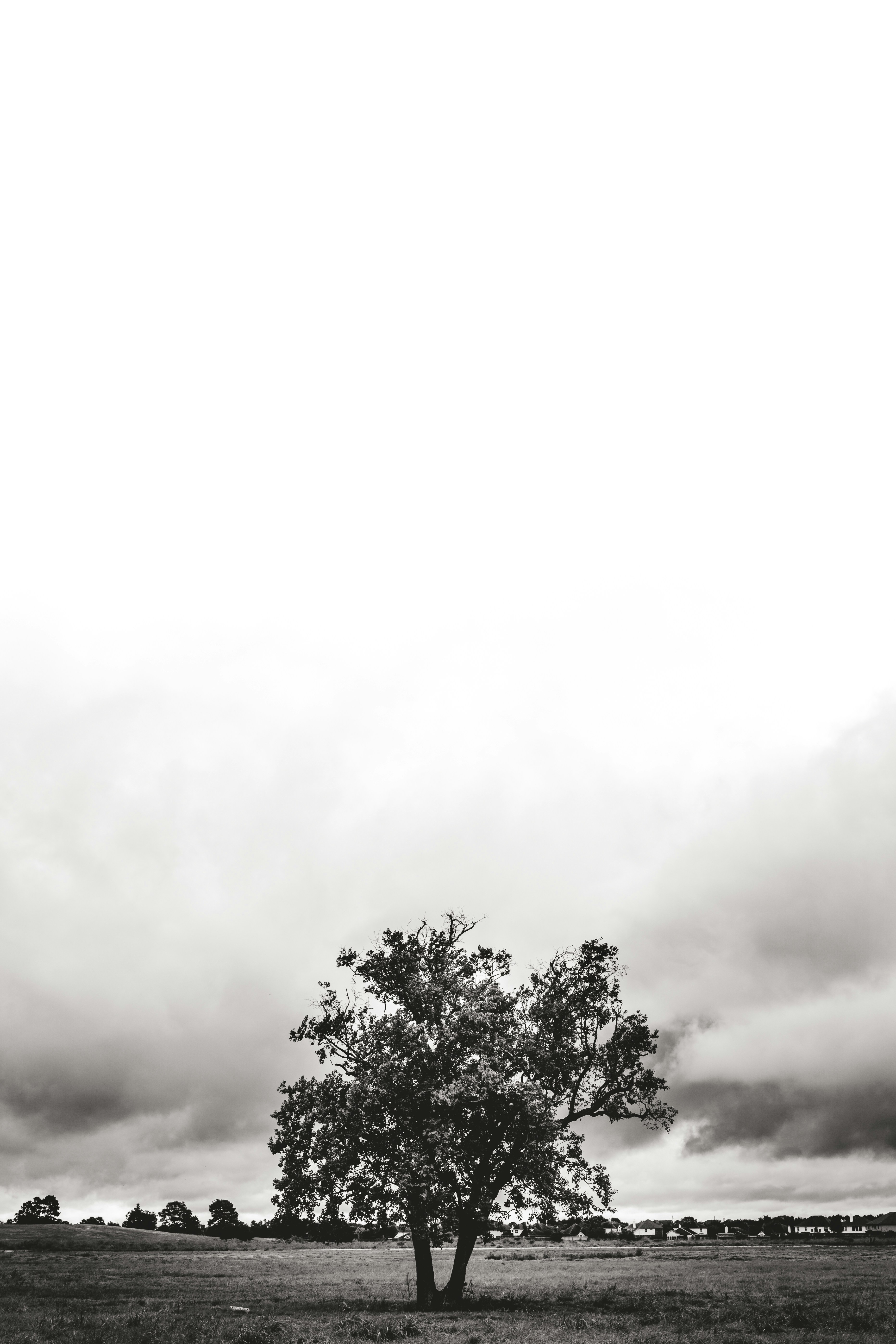 Photo by jacksharp_photography