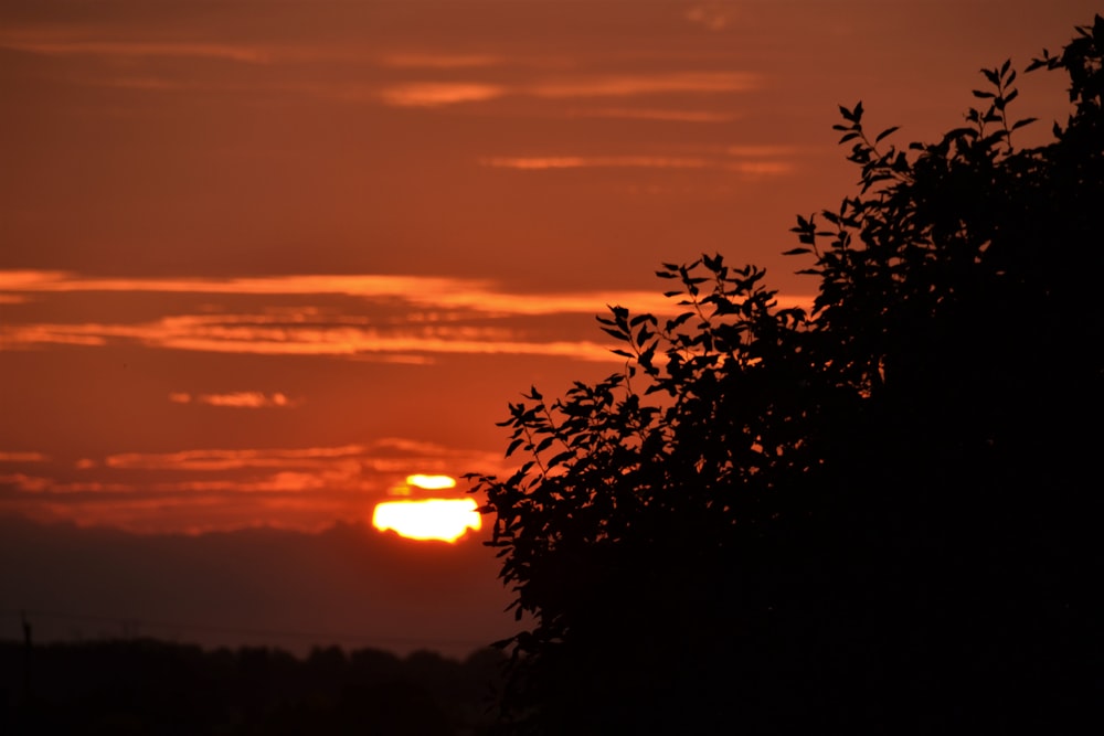 the sun is setting behind a tree