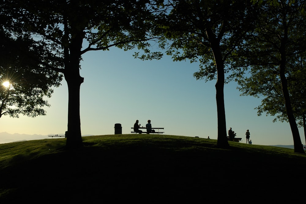 silhouette of person sitting on bench