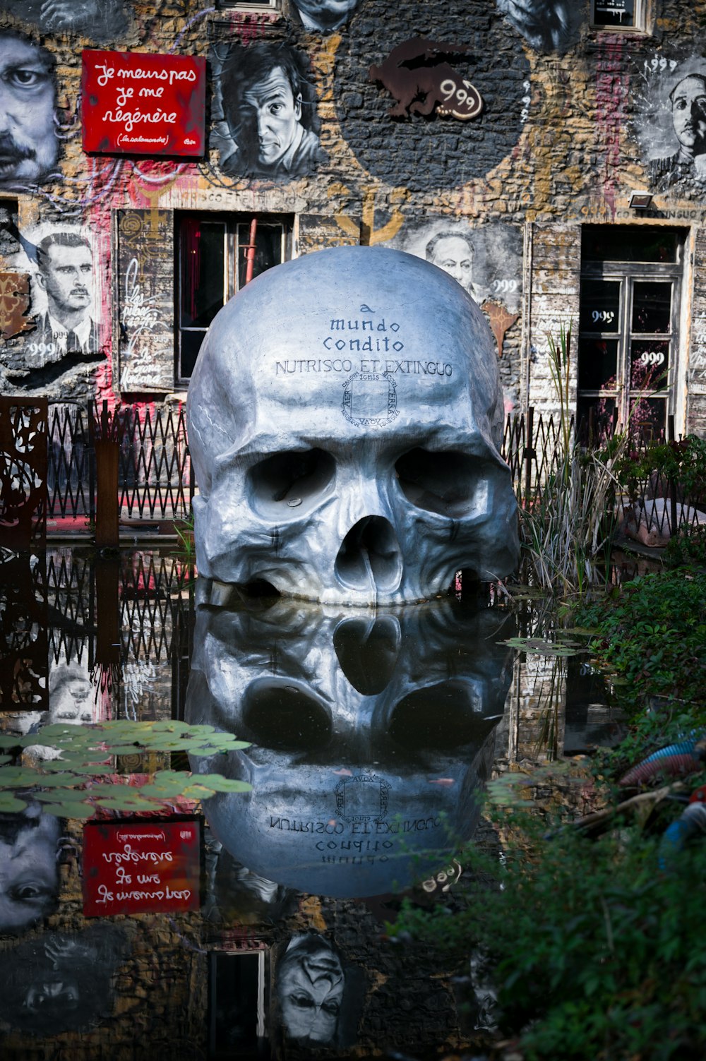 human skull statue reflection on body of water