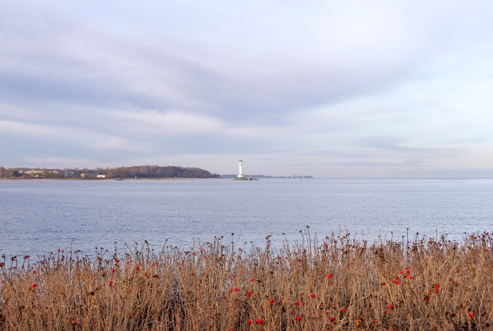 a large body of water with a light house in the distance