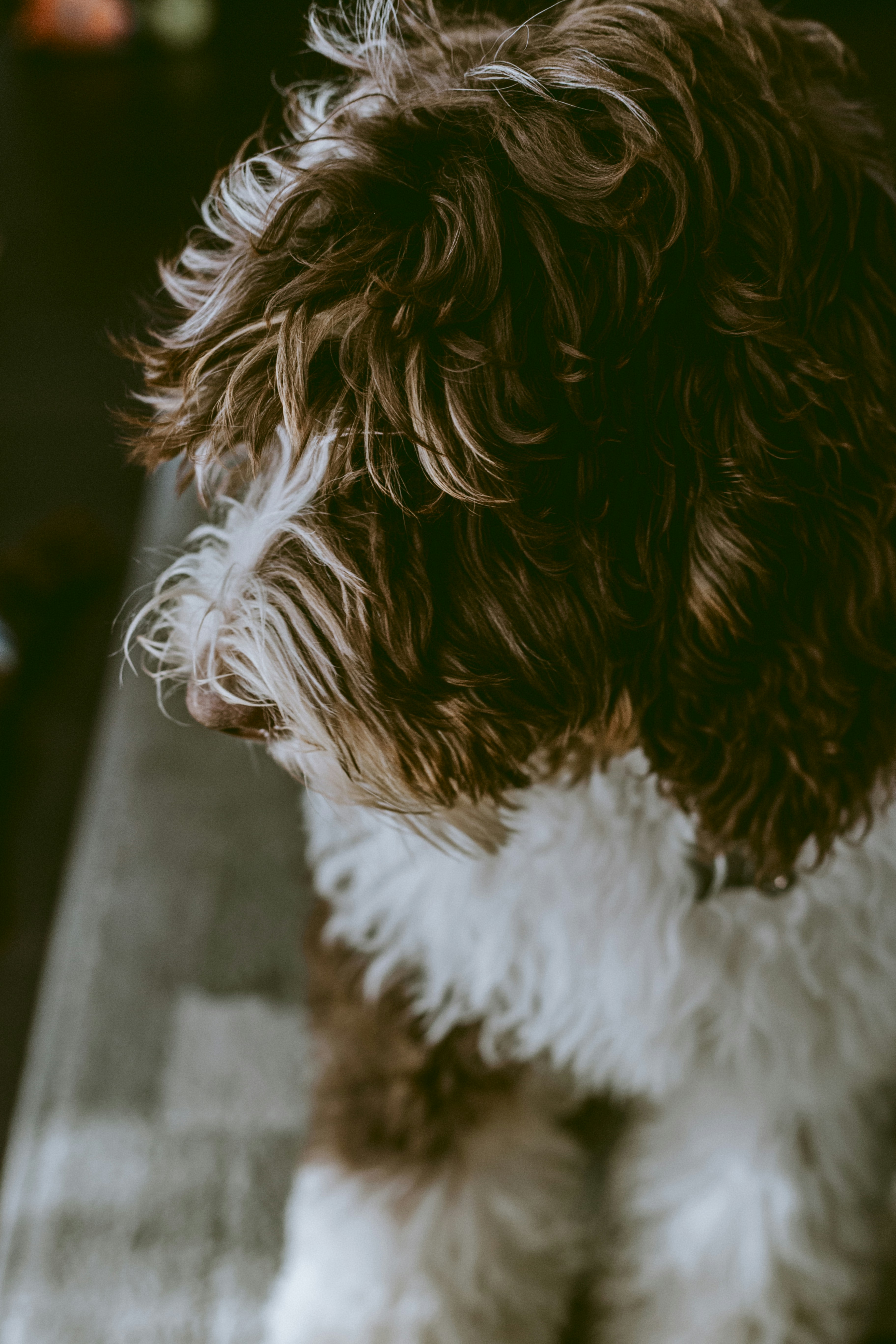 Photo by natashareddy