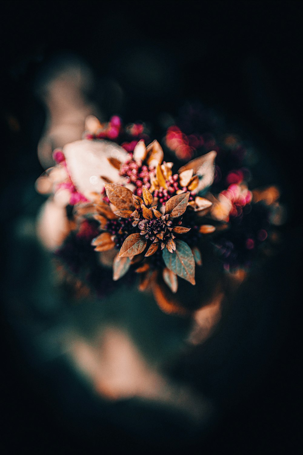 flores de pétalas marrons e vermelhas em foto de foco seletivo