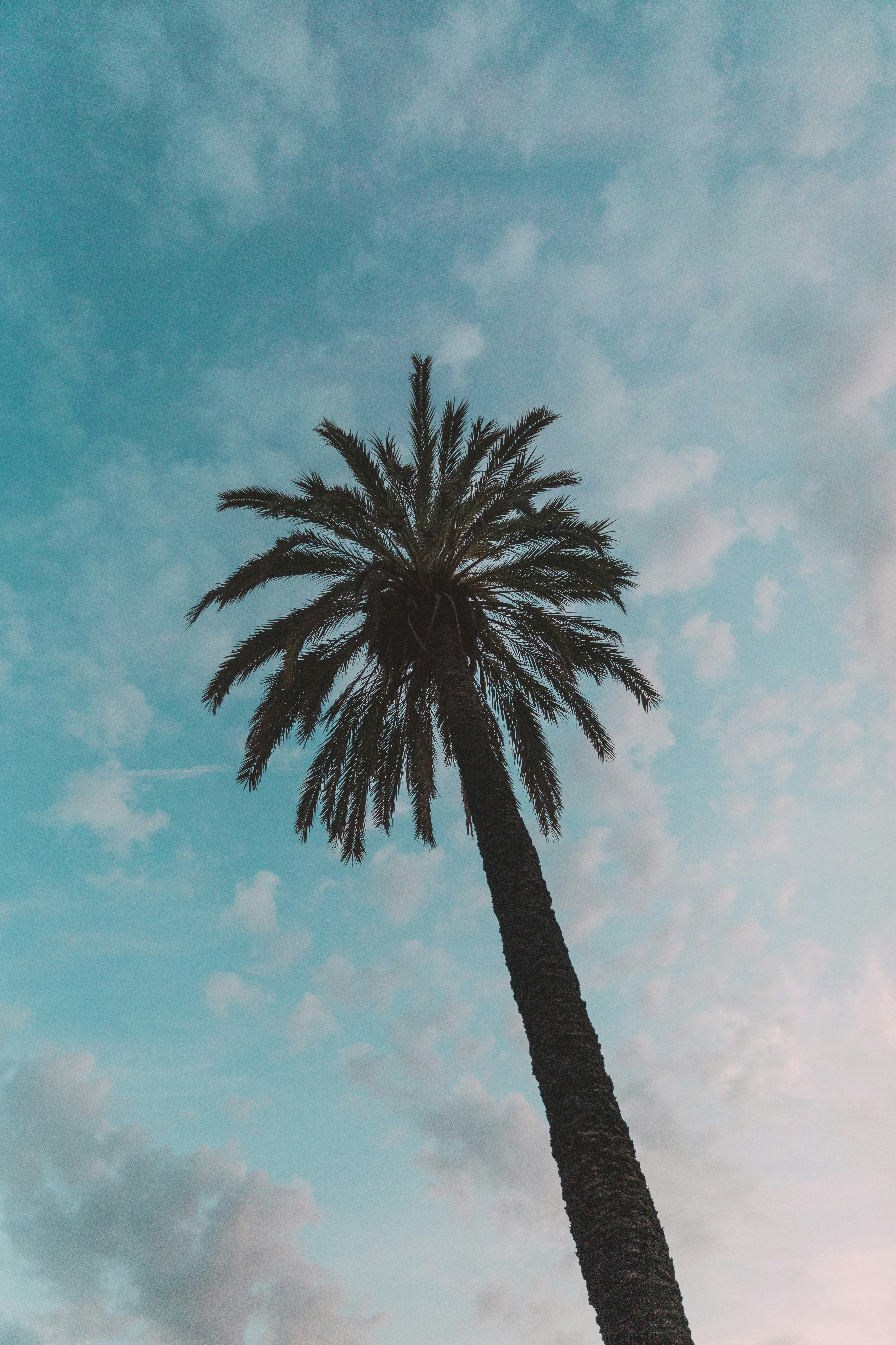 Photo by edelputte