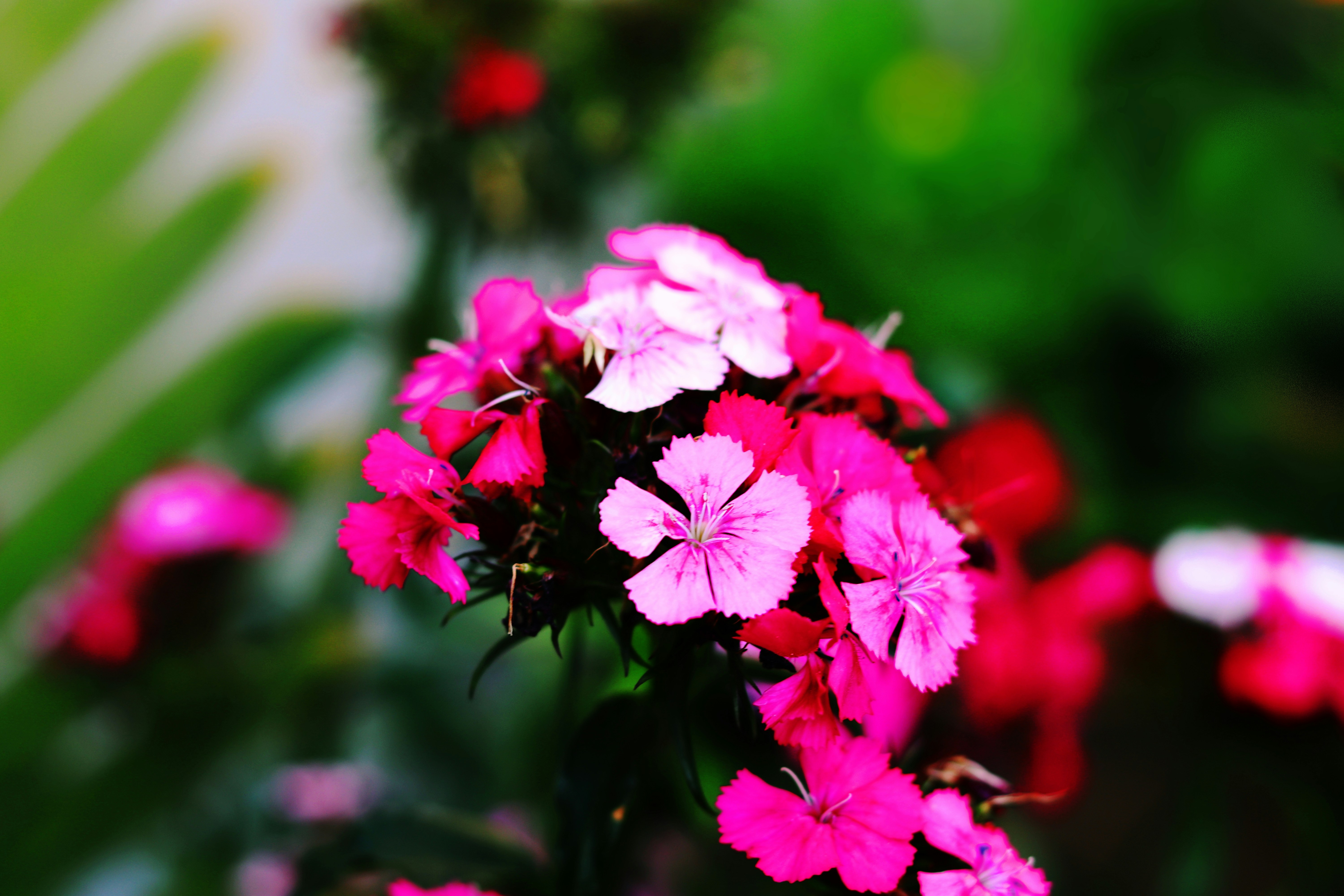 Photo by abuzarxheikh