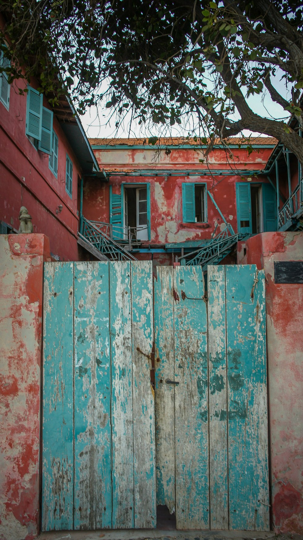 closed wooden door under tree