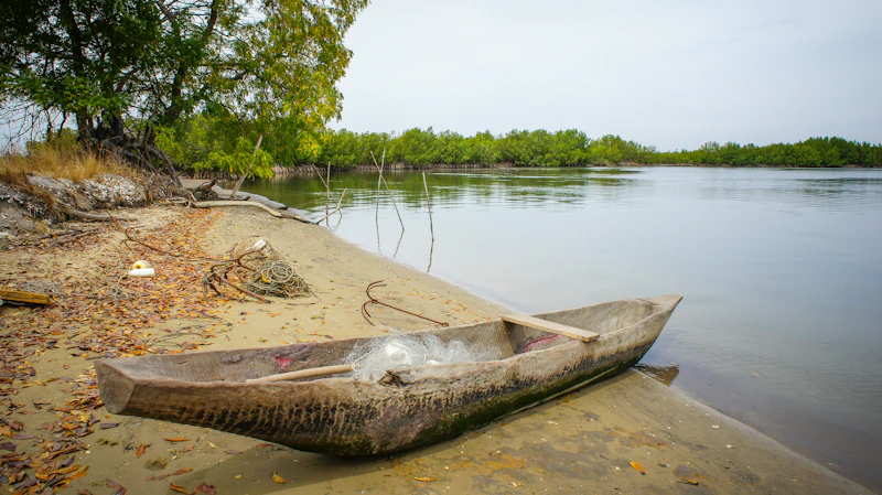 The Saloum Delta