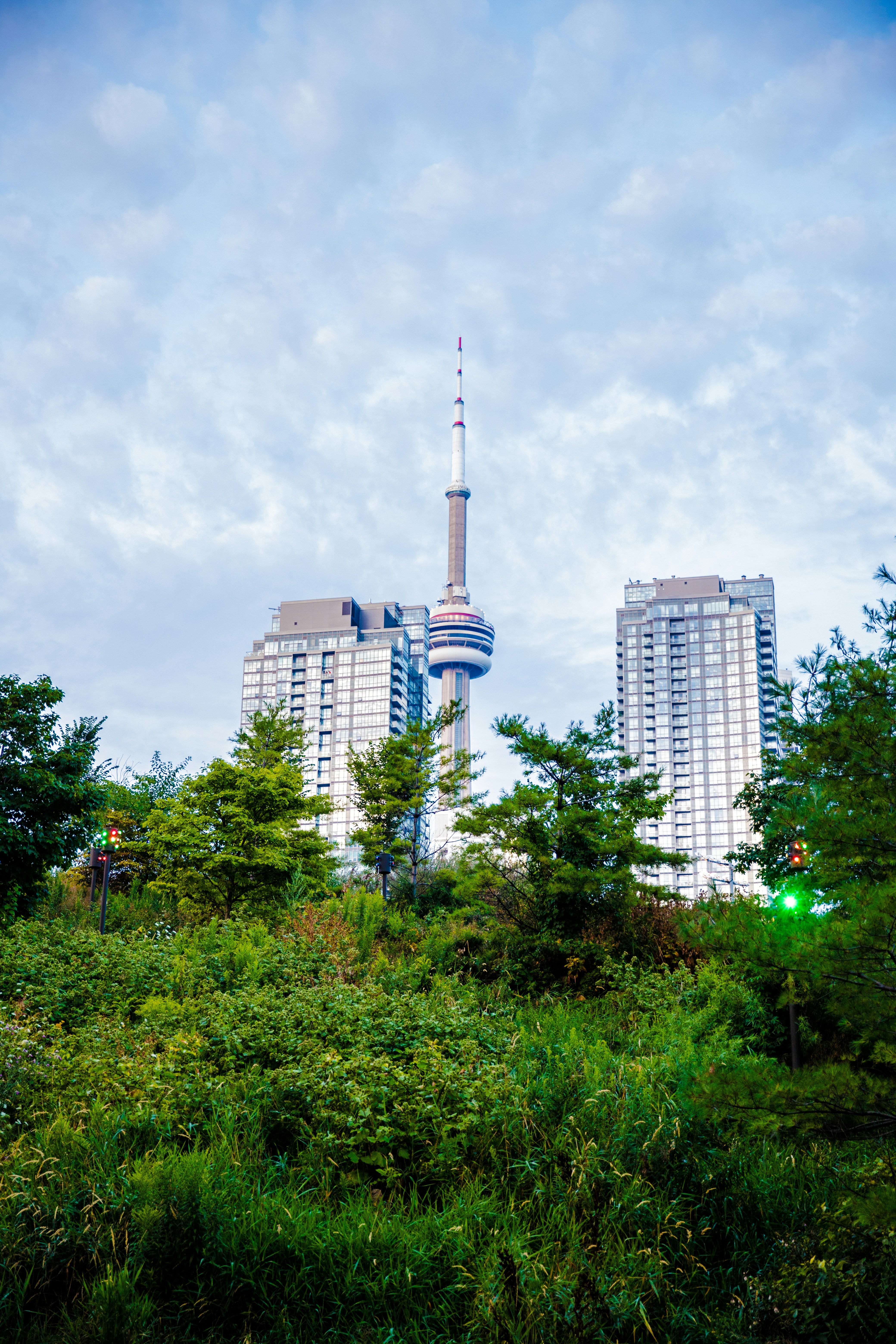 white tower beside trees