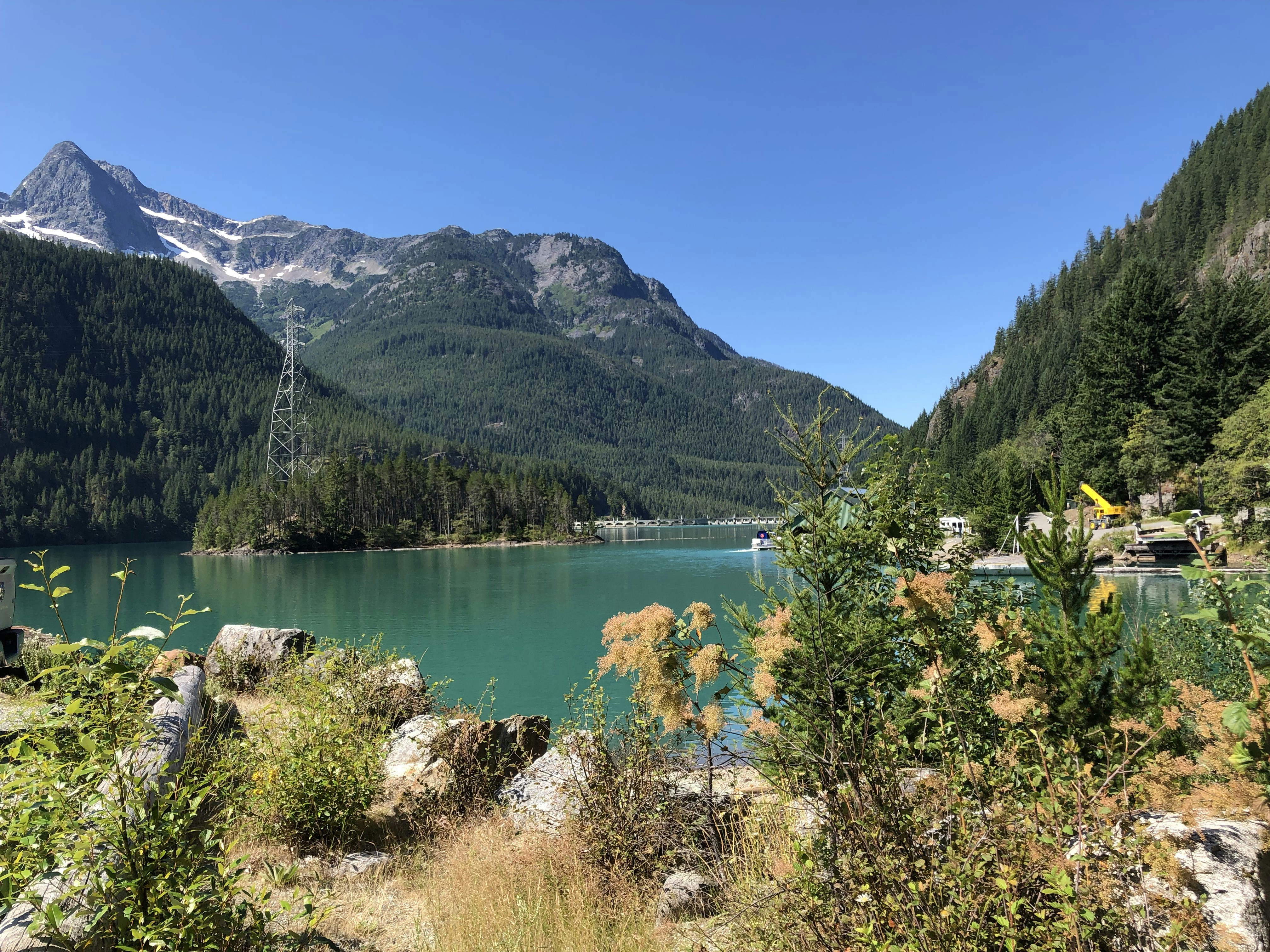 Photo by brewingcats