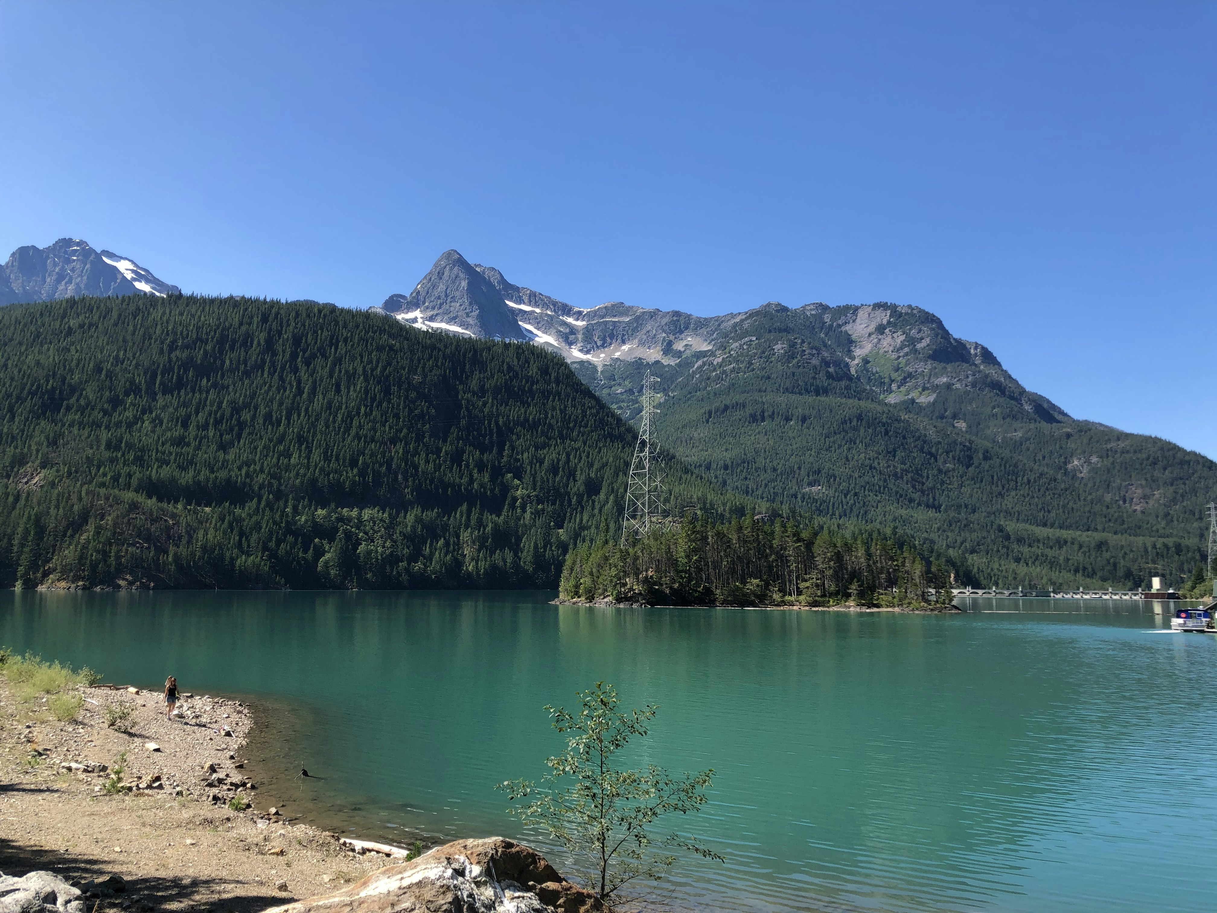 Photo by brewingcats