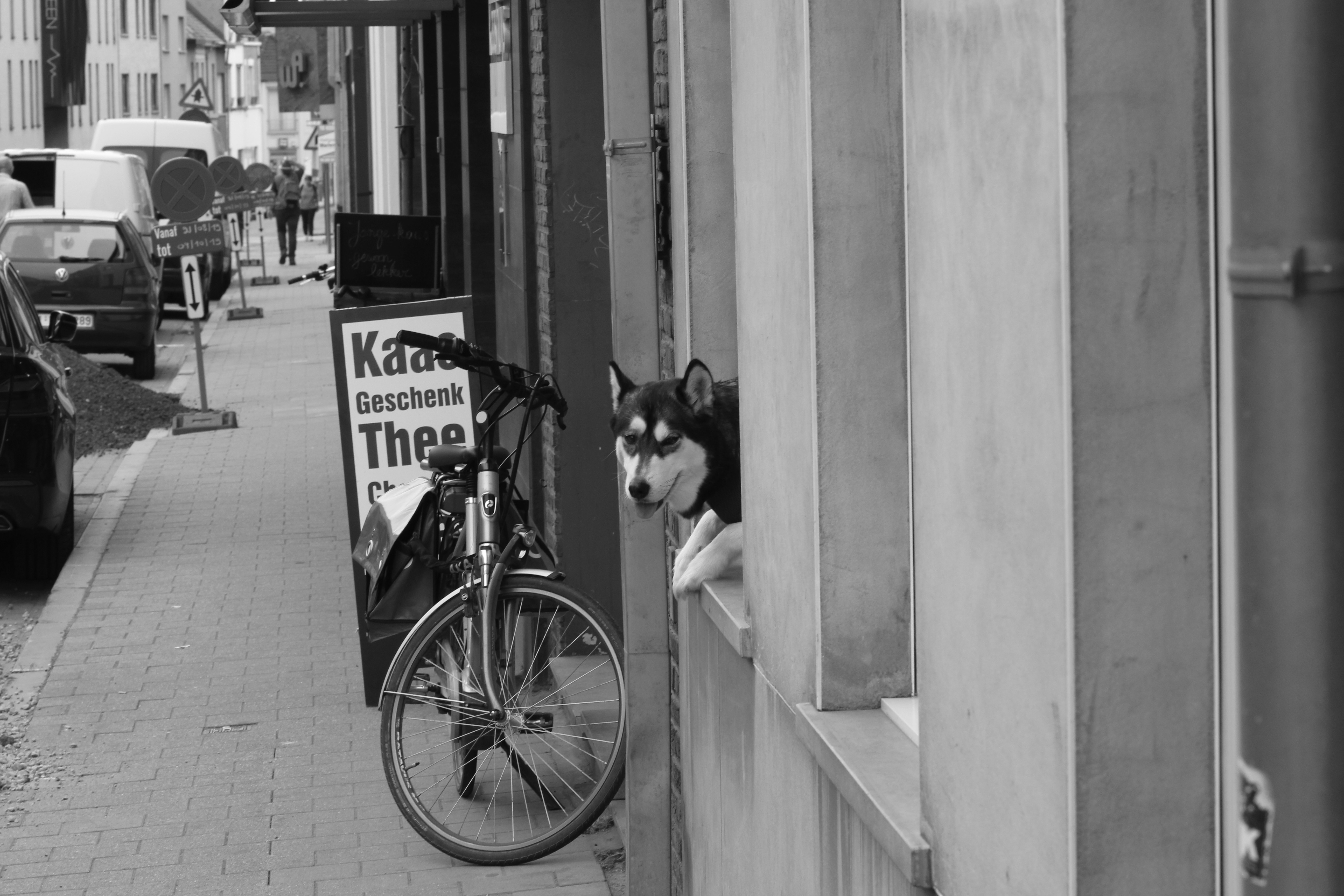 Photo by yanibadab89