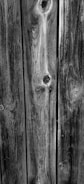 Close-up of detailed wood grain on a newly finished fence panel.