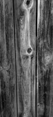 Close-up of a wooden fence half cleaned, showing the stark contrast between weathered grey and fresh golden timber.