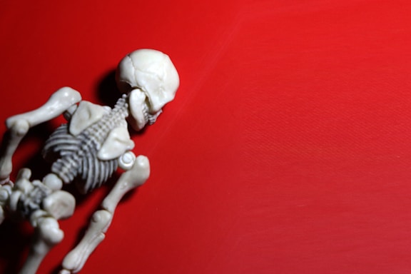 A small skeletal figure is positioned on a vibrant, solid red surface, lying on its back with limbs extended. The light source appears to cast soft shadows, highlighting the textures and contours of the skeleton.