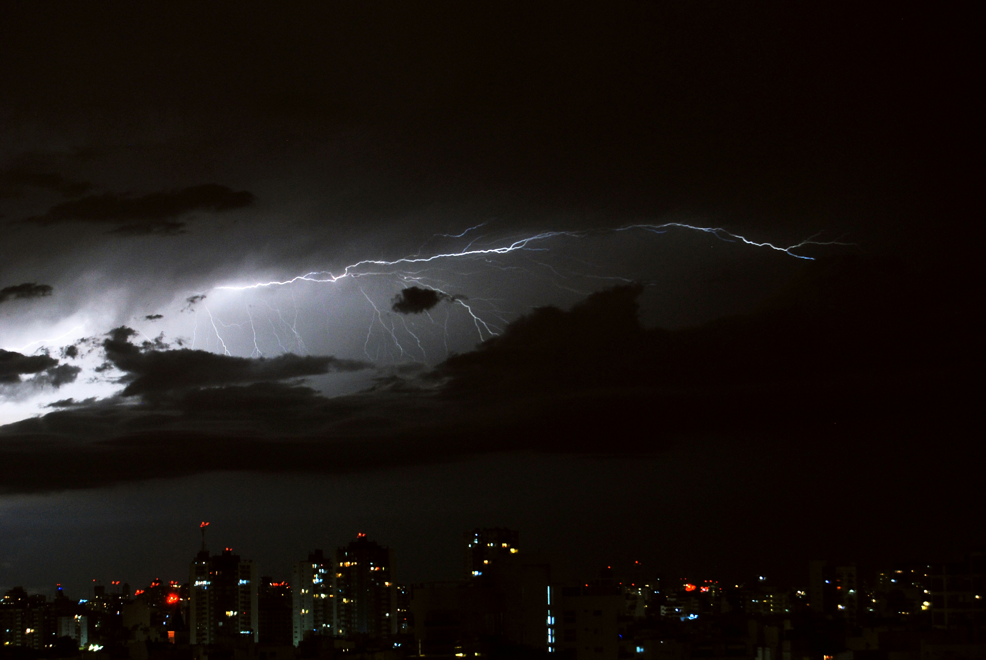 Cae La Noche Tropical.