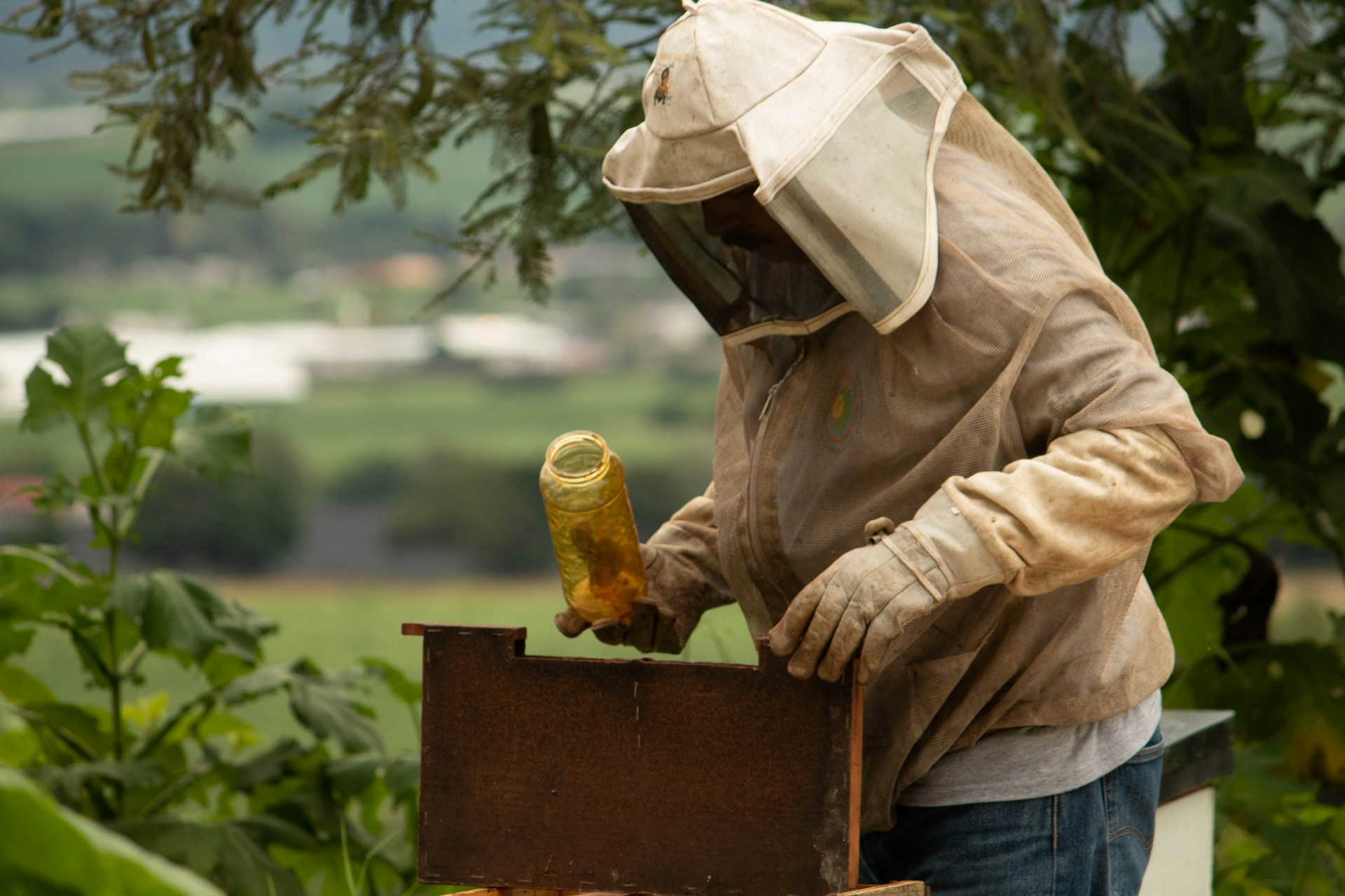 person wearing brown suit