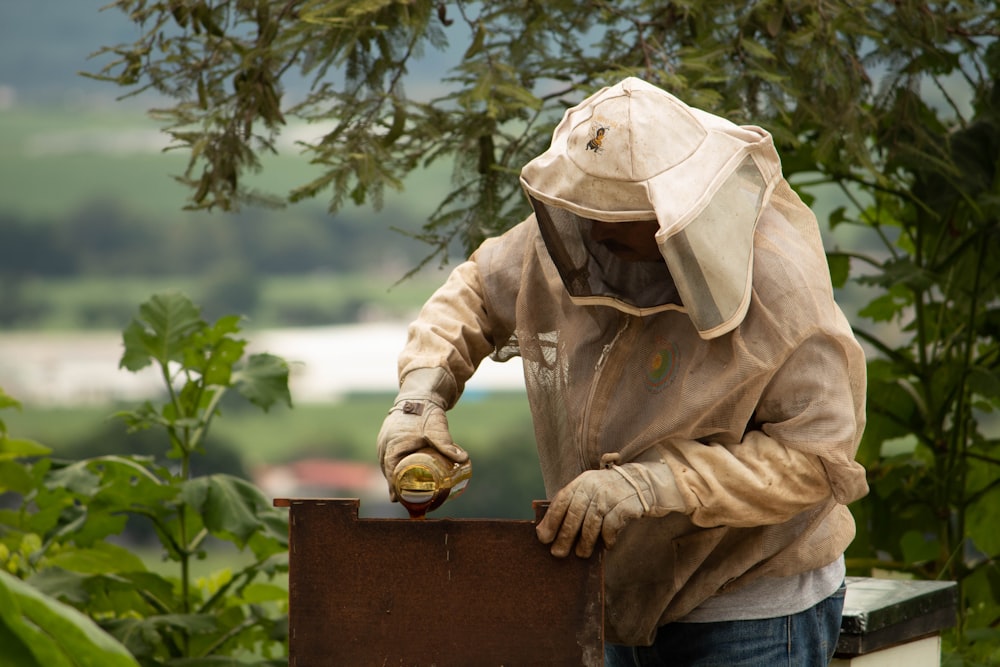 person holding bee hive