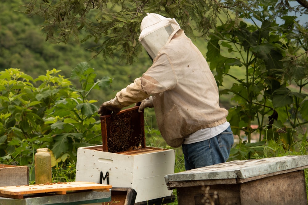 person holding honey comb during daytime