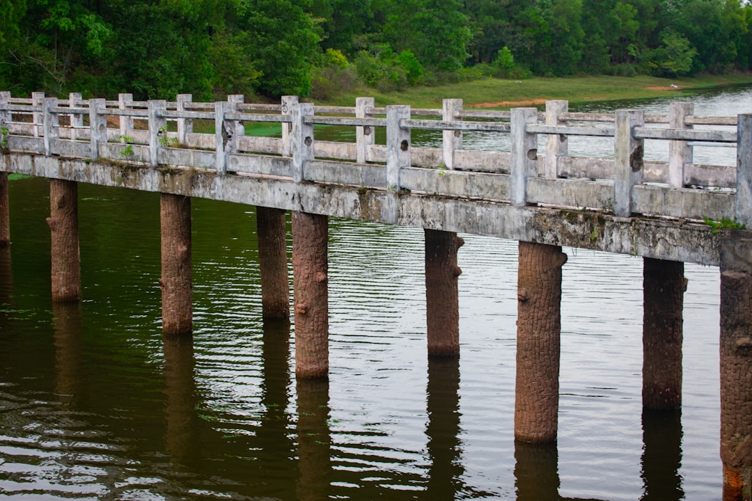 Bridge photo spot Hue Thuy Tien lake Abandoned Water Park