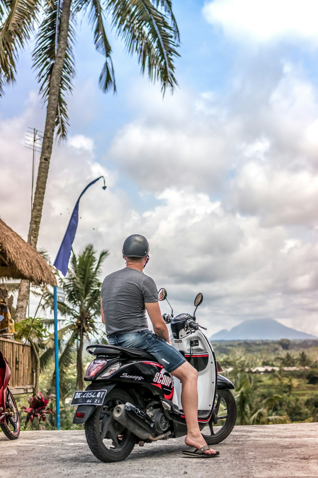 man sitting on motor scooter under coconut tree