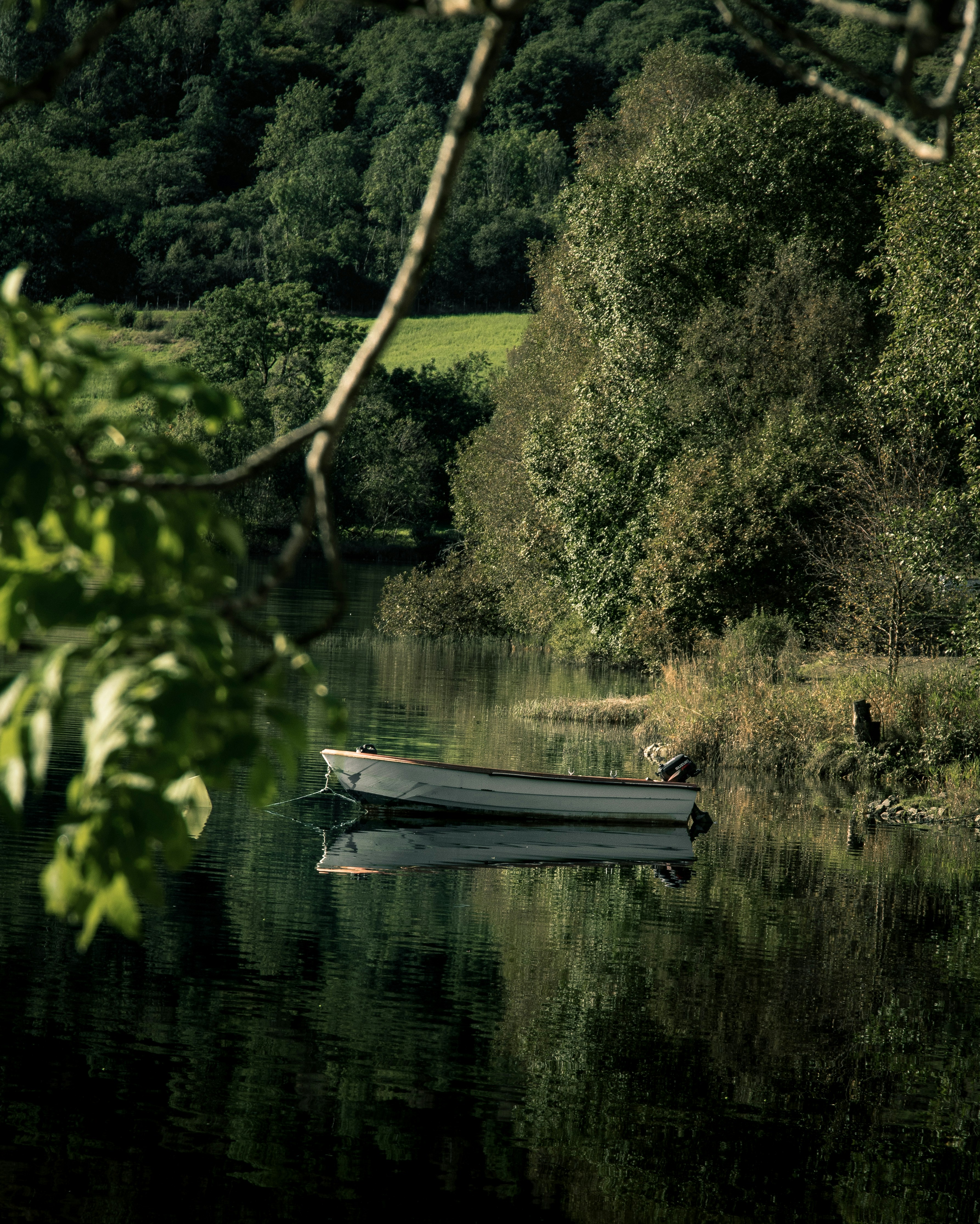 Photo by lachlangowen