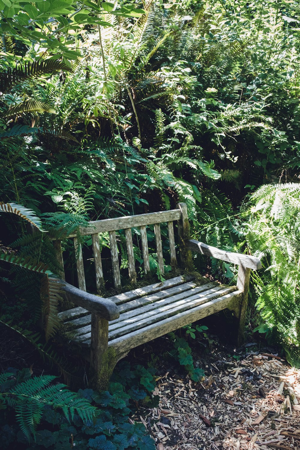 brown wooden bench of forest