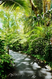green plants