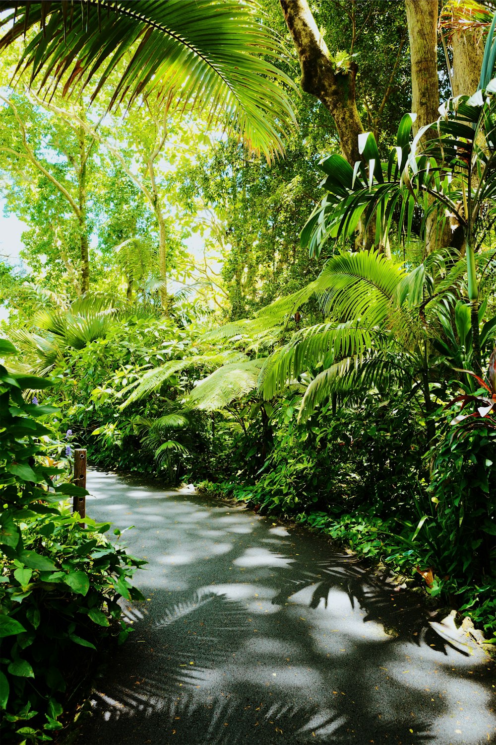 green plants