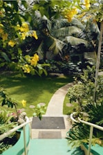 empty walkway surrounded with plants during daytime