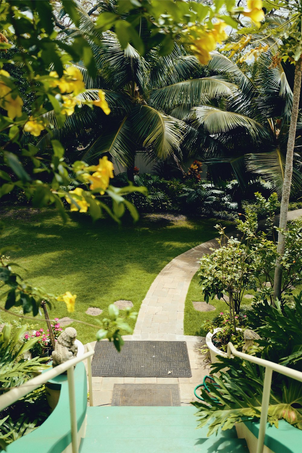 passarela vazia cercada de plantas durante o dia